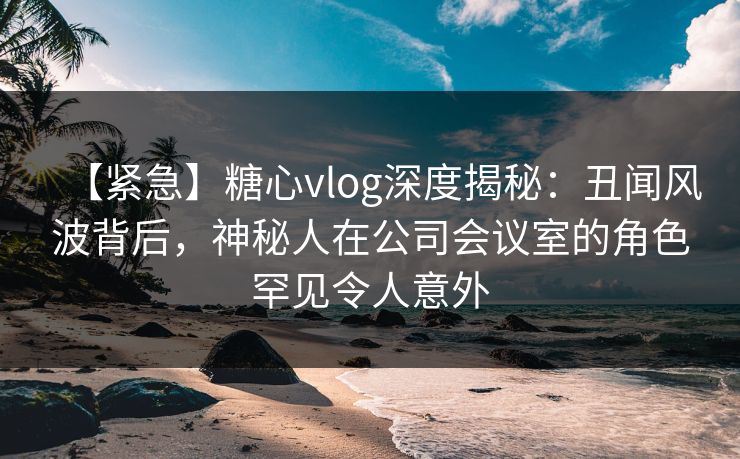 【紧急】糖心vlog深度揭秘：丑闻风波背后，神秘人在公司会议室的角色罕见令人意外