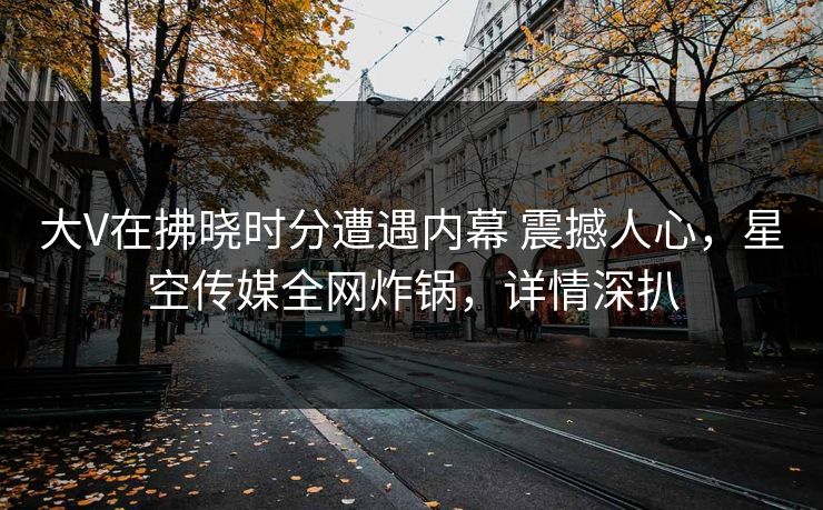 大V在拂晓时分遭遇内幕 震撼人心，星空传媒全网炸锅，详情深扒